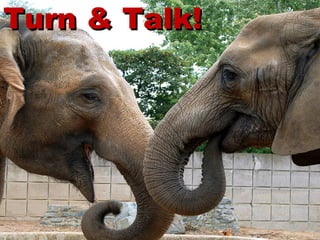 Turn & Talk! 