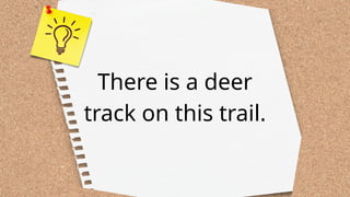 There is a deer
track on this trail.
 
