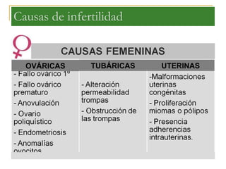 Causas de infertilidad OVÁRICAS TUBÁRICAS UTERINAS 