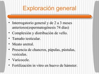 Exploración general Interrogatorio general y de 2 a 3 meses anteriores(espermatogénesis 74 días) Complexión y distribución de vello. Tamaño testicular. Meato uretral. Presencia de chancros, pápulas, pústulas, vesículas. Varicocele. Fertilización in vitro en huevo de hámster. 