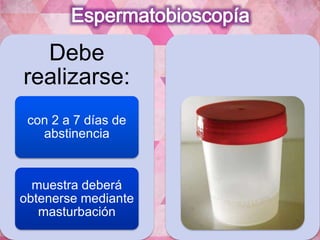 Debe 
realizarse: 
con 2 a 7 días de 
abstinencia 
muestra deberá 
obtenerse mediante 
masturbación 
 
