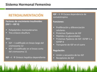 Sistema Hormonal Femenino
RETROALIMENTACIÓN
Factores de crecimiento insulinoides
(IGF I – IGF II)
 Polipéptidos monocatenarios
 Tres enlaces disulfuro
Gen:
 IGF – I codificado en brazo largo del
cromosoma 12
 IGF – II codificado en el brazo corto
del cromosoma 11
IGF – I  Síntesis hepática dependiente
IGF – II  Escasa dependencia de
somatotropina
Funciones:
 Proliferación y diferenciación
celulares.
 Proteínas fijadoras de IGF
 Péptidos no glucosilados
 Proteínas fijadoras de IGF: IGFBP-1 a
IGFBP-6
 Transporte de IGF en el suero
Regulación:
 Unión y secuestro de los IGF
 Receptores de IGF
 