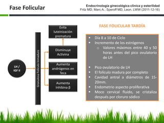 Fase Folicular
FASE FOLICULAR TARDÍA
 Día 8 a 10 de Ciclo
 Incremento de los estrógenos
o Valores máximos entre 40 y 50
horas antes del pico ovulatorio
de LH
 Pico ovulatorio de LH
 El folículo madura por completo
 Cavidad antral a diámetros de 15-
20mm.
 Endometrio aspecto proliferativa
 Moco cervical fluido, se cristaliza
después por cloruro sódico
Endocrinología ginecológica clínica y esterilidad
Fritz MD, Marc A.; Speroff MD, Leon. LWW (2011-12-16)
GranulosaFolículoInmaduro
LH /
IGF II
Disminuye
Activina
Aumenta
andrógenos en
Teca
Aumenta
Inhibina β
Evita
luteinización
prematura
 