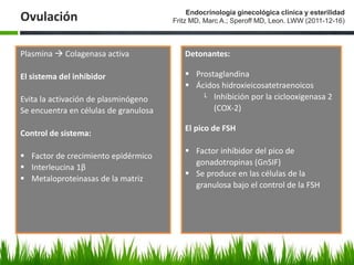 Ovulación Endocrinología ginecológica clínica y esterilidad
Fritz MD, Marc A.; Speroff MD, Leon. LWW (2011-12-16)
Detonantes:
 Prostaglandina
 Ácidos hidroxieicosatetraenoicos
└ Inhibición por la ciclooxigenasa 2
(COX-2)
El pico de FSH
 Factor inhibidor del pico de
gonadotropinas (GnSIF)
 Se produce en las células de la
granulosa bajo el control de la FSH
Plasmina  Colagenasa activa
El sistema del inhibidor
Evita la activación de plasminógeno
Se encuentra en células de granulosa
Control de sistema:
 Factor de crecimiento epidérmico
 Interleucina 1β
 Metaloproteinasas de la matriz
 