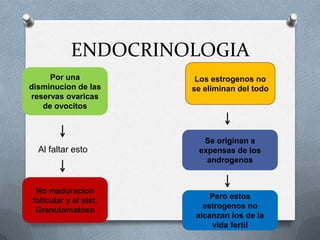 ENDOCRINOLOGIA
Por una
disminucion de las
reservas ovaricas
de ovocitos
No maduracion
folicular y el sist.
Granulomatoso
Al faltar esto
Los estrogenos no
se eliminan del todo
Se originan a
expensas de los
androgenos
Pero estos
estrogenos no
alcanzan los de la
vida fertil
 