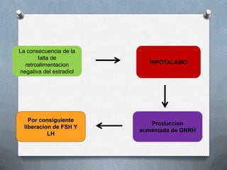 La consecuencia de la
falta de
retroalimentacion
negativa del estradiol
HIPOTALAMO
Produccion
aumentada de GNRH
Por consiguiente
liberacion de FSH Y
LH
 