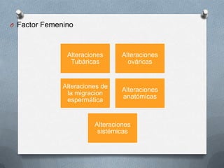 O Factor Femenino
Alteraciones
Tubáricas
Alteraciones
ováricas
Alteraciones de
la migracion
espermática
Alteraciones
anatómicas
Alteraciones
sistémicas
 