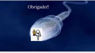 Obrigado!
Obrigado!!
 