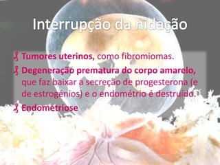 ₰ Tumores uterinos, como fibromiomas.
₰ Degeneração prematura do corpo amarelo,
que faz baixar a secreção de progesterona (e
de estrogénios) e o endométrio é destruído.
₰ Endometriose

 