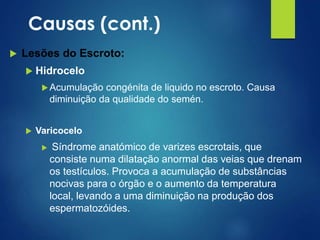 Causas (cont.)


Lesões do Escroto:
 Hidrocelo
 Acumulação

congénita de liquido no escroto. Causa
diminuição da qualidade do semén.



Varicocelo


Síndrome anatómico de varizes escrotais, que
consiste numa dilatação anormal das veias que drenam
os testículos. Provoca a acumulação de substâncias
nocivas para o órgão e o aumento da temperatura
local, levando a uma diminuição na produção dos
espermatozóides.

 