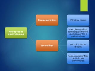 Causas genéticas

Principal causa

Infecções genitais,
sobreaquecimento,
medicamentos e
sedentarismo;

Alterações no
espermograma

Secundárias

Álcool, tabaco,
drogas;

Tóxicos ambientais,
profissionais,
alimentares;

 