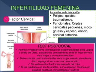 Factor Cervical:3.
Anomalías en la Interacción
• Pólipos, quistes,
traumatismos.
• Funcionales: Criptas
cervicales pequeñas, moco
grueso y espeso, orificio
cervical estrecho.
TEST POSTCOITAL
 Permite investigar cómo interactúan los espermatozoides en la vagina
y cuello del útero, evaluando la compatibilidad entre el moco cervical
de la mujer y los espermatozoides.
 Debe coincidir con los días fértiles de la mujer, cuando el cuello del
útero segrega el moco cervical característico.
 Se realiza entre 3 a 8 horas después del coito.
 Si los resultados no son favorables, la investigación continúa con
estudios genéticos, inmunológicos y cultivos
 