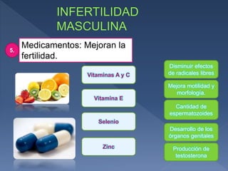 Medicamentos: Mejoran la
fertilidad.
5.
Disminuir efectos
de radicales libres
Cantidad de
espermatozoides
Desarrollo de los
órganos genitales
Producción de
testosterona
Mejora motilidad y
morfología.
Vitaminas A y C
Vitamina E
Selenio
Zinc
 