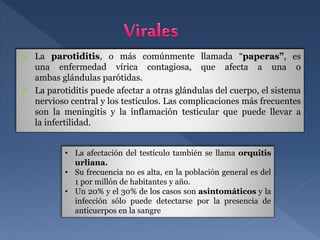  La parotiditis, o más comúnmente llamada “paperas”, es
una enfermedad vírica contagiosa, que afecta a una o
ambas glándulas parótidas.
 La parotiditis puede afectar a otras glándulas del cuerpo, el sistema
nervioso central y los testículos. Las complicaciones más frecuentes
son la meningitis y la inflamación testicular que puede llevar a
la infertilidad.
• La afectación del testículo también se llama orquitis
urliana.
• Su frecuencia no es alta, en la población general es del
1 por millón de habitantes y año.
• Un 20% y el 30% de los casos son asintomáticos y la
infección sólo puede detectarse por la presencia de
anticuerpos en la sangre
 