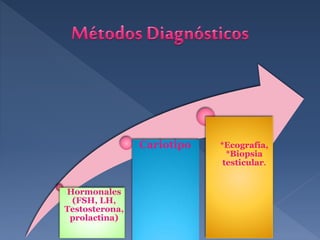 Hormonales
(FSH, LH,
Testosterona,
prolactina)
Cariotipo *Ecografía,
*Biopsia
testicular.
 