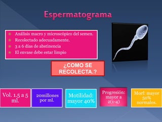  Análisis macro y microscópico del semen.
 Recolectado adecuadamente.
 3 a 6 días de abstinencia
 El envase debe estar limpio
¿COMO SE
RECOLECTA.?
Vol. 1.5 a 5
ml.
20millones
por ml.
Motilidad:
mayor 40%
Progresión:
mayor a
2(1-4)
Morf: mayor
50%
normales.
 