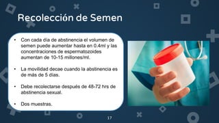 17
• Con cada día de abstinencia el volumen de
semen puede aumentar hasta en 0.4ml y las
concentraciones de espermatozoides
aumentan de 10-15 millones/ml.
• La movilidad decae cuando la abstinencia es
de más de 5 días.
• Debe recolectarse después de 48-72 hrs de
abstinencia sexual.
• Dos muestras.
 