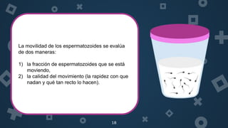 18
El semen fresco es un coágulo que se licua 15 a
30 minutos después de la eyaculación.
El volumen eyaculado debe ser por lo menos de
1.5 ml.
Un volumen bajo de eyaculado puede indicar
eyaculación retrógrada, EDO, recolección
incompleta o deficiencia de andrógenos.
La concentración debe ser > 20 millones de
espermatozoides/ml.
La movilidad de los espermatozoides se evalúa
de dos maneras:
1) la fracción de espermatozoides que se está
moviendo,
2) la calidad del movimiento (la rapidez con que
nadan y qué tan recto lo hacen).
 