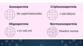 21
Análisis de Fructuosa seminal
Análisis de ASA
Análisis de hinchazón hipoosmótica
Ensayo de penetración de los espermatozoides
Ensayo de fragmentación de ADN
Evaluación hormonal
 