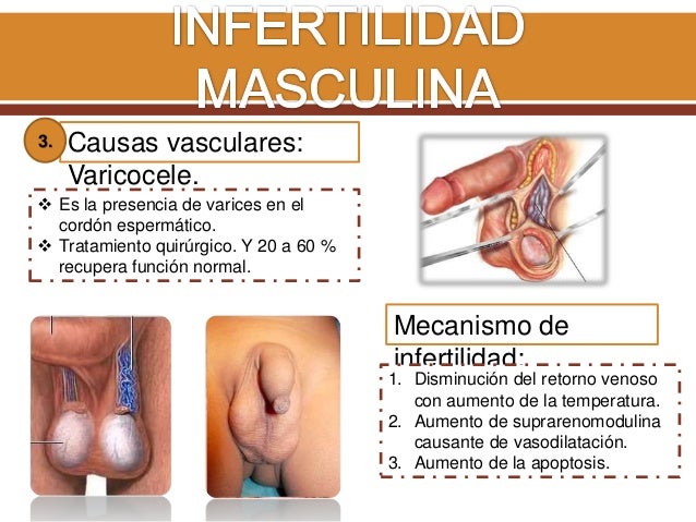Si es posible concebir al niño si el marido ayer bebía