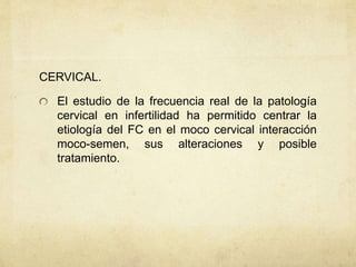 CERVICAL.
El estudio de la frecuencia real de la patología
cervical en infertilidad ha permitido centrar la
etiología del FC en el moco cervical interacción
moco-semen, sus alteraciones y posible
tratamiento.
 
