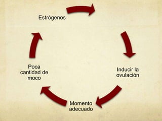 Inducir la
ovulación
Momento
adecuado
Poca
cantidad de
moco
Estrógenos
 