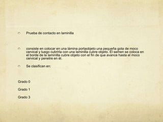 Prueba de contacto en laminilla
consiste en colocar en una lámina portaobjeto una pequeña gota de moco
cervical y luego cubrirla con una laminilla cubre objeto. El semen se coloca en
el borde de la laminilla cubre objeto con el fin de que avance hasta el moco
cervical y penetre en él.
Se clasifican en:
Grado 0
Grado 1
Grado 3
 