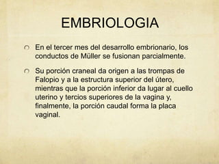EMBRIOLOGIA
En el tercer mes del desarrollo embrionario, los
conductos de Müller se fusionan parcialmente.
Su porción craneal da origen a las trompas de
Falopio y a la estructura superior del útero,
mientras que la porción inferior da lugar al cuello
uterino y tercios superiores de la vagina y,
finalmente, la porción caudal forma la placa
vaginal.
 