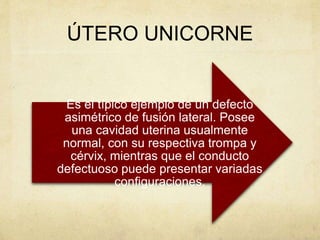ÚTERO UNICORNE
Es el típico ejemplo de un defecto
asimétrico de fusión lateral. Posee
una cavidad uterina usualmente
normal, con su respectiva trompa y
cérvix, mientras que el conducto
defectuoso puede presentar variadas
configuraciones.
 