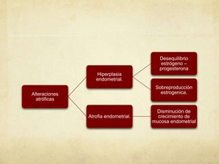 Alteraciones
atróficas
Hiperplasia
endometrial.
Desequilibrio
estrógeno –
progesterona
Sobreproducción
estrogenica.
Atrofia endometrial.
Disminución de
crecimiento de
mucosa endometrial
 