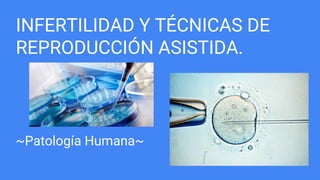 INFERTILIDAD Y TÉCNICAS DE
REPRODUCCIÓN ASISTIDA.
~Patología Humana~
 