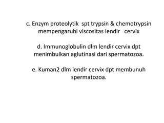 c. Enzym proteolytik spt trypsin & chemotrypsin
mempengaruhi viscositas lendir cervix
d. Immunoglobulin dlm lendir cervix dpt
menimbulkan aglutinasi dari spermatozoa.
e. Kuman2 dlm lendir cervix dpt membunuh
spermatozoa.
 