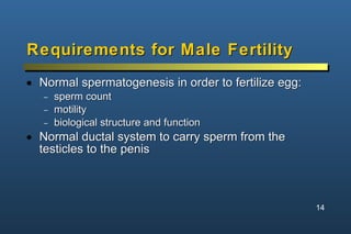 Requirements for Male Fertility <ul><li>Normal spermatogenesis in order to fertilize egg: </li></ul><ul><ul><li>sperm coun...