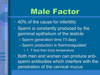 Male Factor40% of the cause for infertilitySperm is constantly produced by the germinal epithelium of the testicleSperm generation time 73 daysSperm production is thermoregulated1° F less than body temperatureBoth men and women can produce anti-sperm antibodies which interfere with the penetration of the cervical mucus