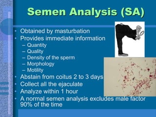 Semen Analysis (SA)Obtained by masturbationProvides immediate informationQuantityQualityDensity of the spermMorphologyMotilityAbstain from coitus 2 to 3 days Collect all the ejaculateAnalyze within 1 hourA normal semen analysis excludes male factor 90% of the time