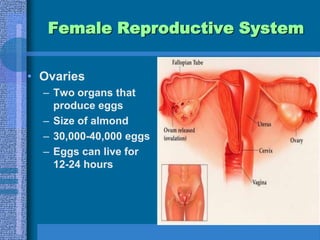 Causes for male infertility42% varicocelerepair if there is a low count or decreased motility22% idiopathic14% obstruction20% other (genetic 	abnormalities)