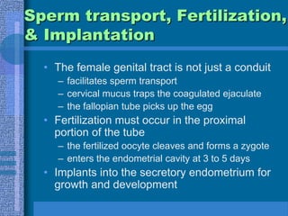 	Non-Ovulatory Saliva Pattern