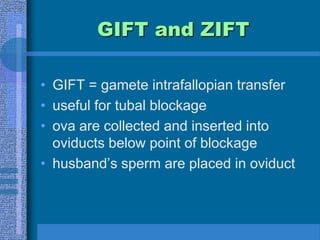 In Vitro Fertilization