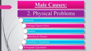 Male Causes:
2. Physical Problems
Varicocele
Damaged Sperm Ducts
Torsion
Infection & Disease
Klinefelter’s Syndrome
Retrograde Ejaculation
 
