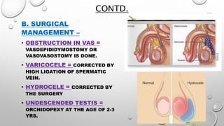 CONTD.
B. SURGICAL
MANAGEMENT –
• OBSTRUCTION IN VAS =
VASOEPIDIDYMOSTOMY OR
VASOVASOSTOMY IS DONE.
• VARICOCELE = CORRECTED BY
HIGH LIGATION OF SPERMATIC
VEIN.
• HYDROCELE = CORRECTED BY
THE SURGERY
• UNDESCENDED TESTIS =
ORCHIDOPEXY AT THE AGE OF 2-3
YRS.
 