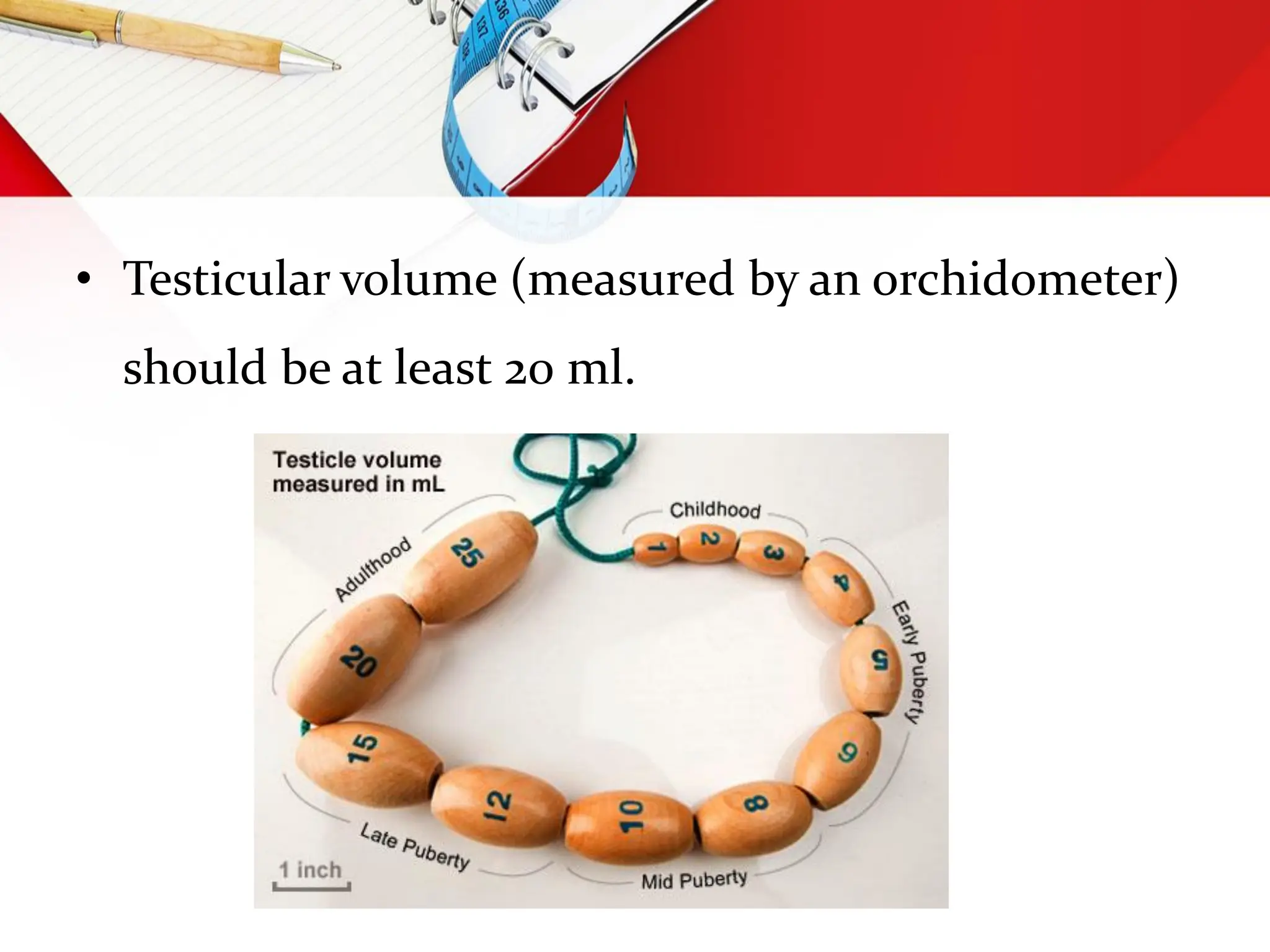 • Testicular volume (measured by an orchidometer)
should be at least 20 ml.
 