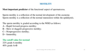 Infertility basics | PDF