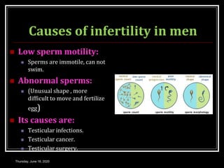 Causes of infertility in men
 Low sperm motility:
 Sperms are immotile, can not
swim.
 Abnormal sperms:
 (Unusual shape , more
difficult to move and fertilize
egg)
 Its causes are:
 Testicular infections.
 Testicular cancer.
 Testicular surgery.
Thursday, June 18, 2020
 