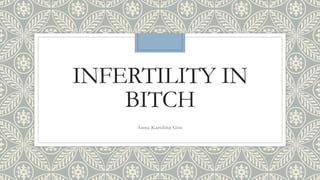 INFERTILITY IN
BITCH
Anna Karolina Goc
 