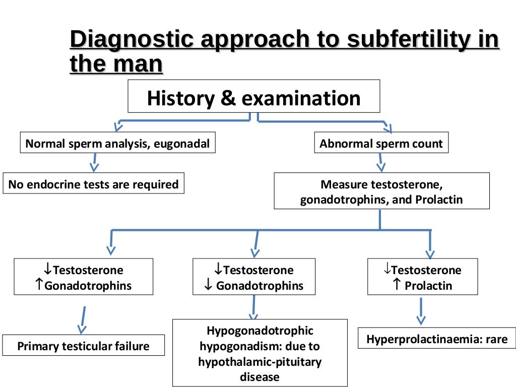 Infertility investigation