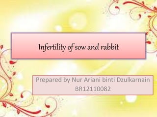 Infertility of sow and rabbit
Prepared by Nur Ariani binti Dzulkarnain
BR12110082
 