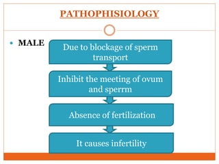 PATHOPHISIOLOGY
 MALE
Due to blockage of sperm
transport
Inhibit the meeting of ovum
and sperrm
Absence of fertilization
It causes infertility
 