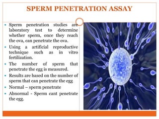 SPERM PENETRATION ASSAY
 Sperm penetration studies are
laboratory test to determine
whether sperm, once they reach
the ova, can penetrate the ova.
 Using a artificial reproductive
technique such as in vitro
fertilization.
 The number of sperm that
penetrate the egg is measured.
 Results are based on the number of
sperm that can penetrate the egg
 Normal – sperm penetrate
 Abnormal - Sperm cant penetrate
the egg.
 