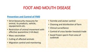FOOT AND MOUTH DISEASE
Prevention and Control of FMD
• Strict biosecurity measures for
animal, its products, vehicle,
equipements etc.
• Restriction of animal movement with
effective quarantine (>14 days)
• Mass vaccination
• Culling of affected animals
• Migration control and monitoring
• Formite and vector control
• Cleaning and disinfection of farm
• Clinical surveillance
• Control of cross border livestock trade
• Avoid frozen sperm from area of
outbreak
 