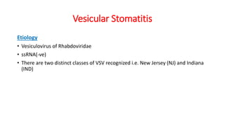 Vesicular Stomatitis
Etiology
• Vesiculovirus of Rhabdoviridae
• ssRNA(-ve)
• There are two distinct classes of VSV recognized i.e. New Jersey (NJ) and Indiana
(IND)
 